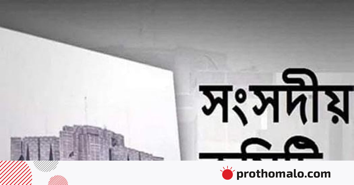 সংসদীয় কমিটির ক্ষমতা বাড়াতে নেই কোনো আইন