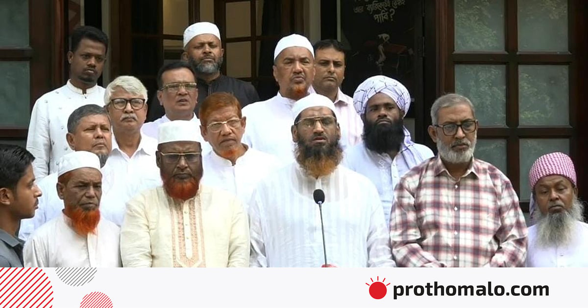 রাষ্ট্রীয় সফর বিনোদনে পরিণত হচ্ছে: মামুনুল হক